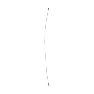 ant_sam_a01.jpg