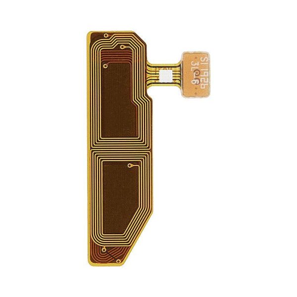 ant_sam_n10_sbp_02.jpg