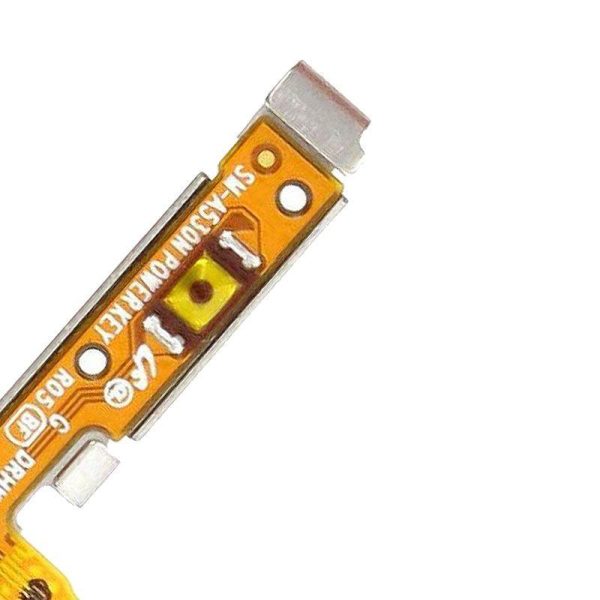 pbf_sam_a810_01.jpg