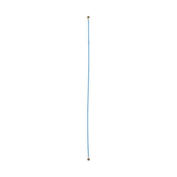 ant_sam_a12.jpg