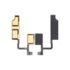 ant_ip_11_mother_01.jpg
