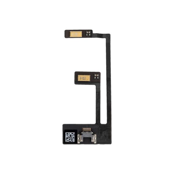 ant_ipa_12.9-1_mic.jpg