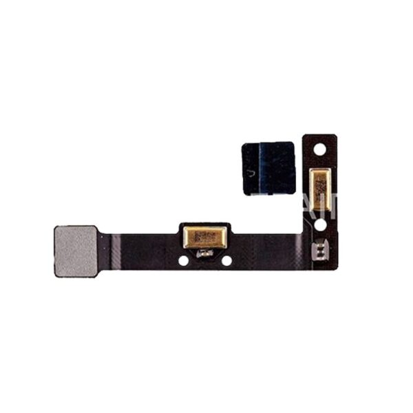 ant_ipa_12.9_2nd_mic.jpg