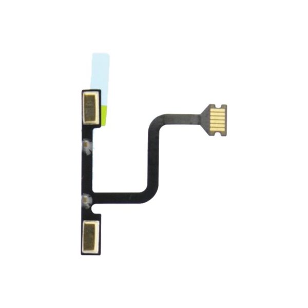 ant_ipa_9.7_mic.jpg