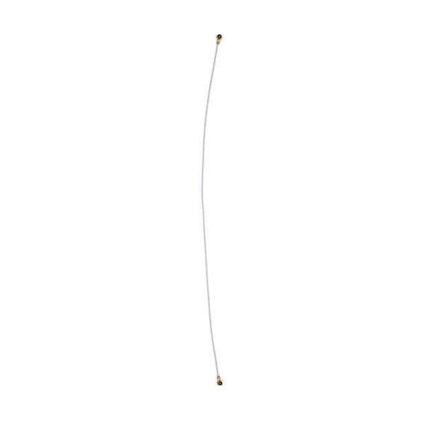 ant_sam_a01.jpg