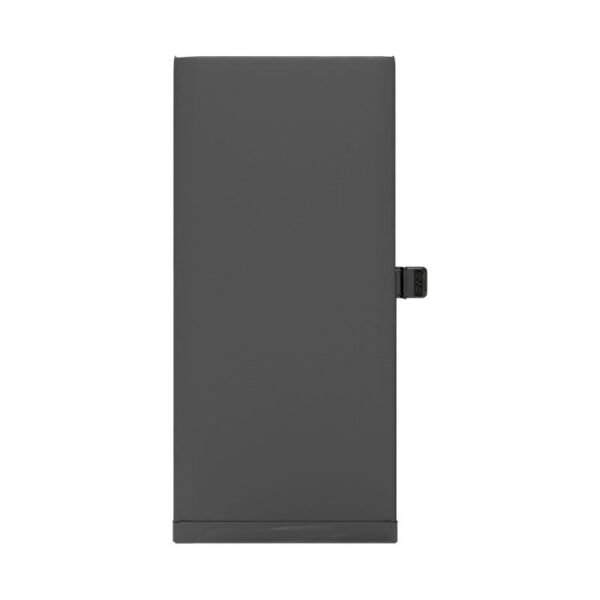 bat_ip_12_mini_01.jpg