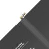 bat_ipa_pro_9.7_02.jpg