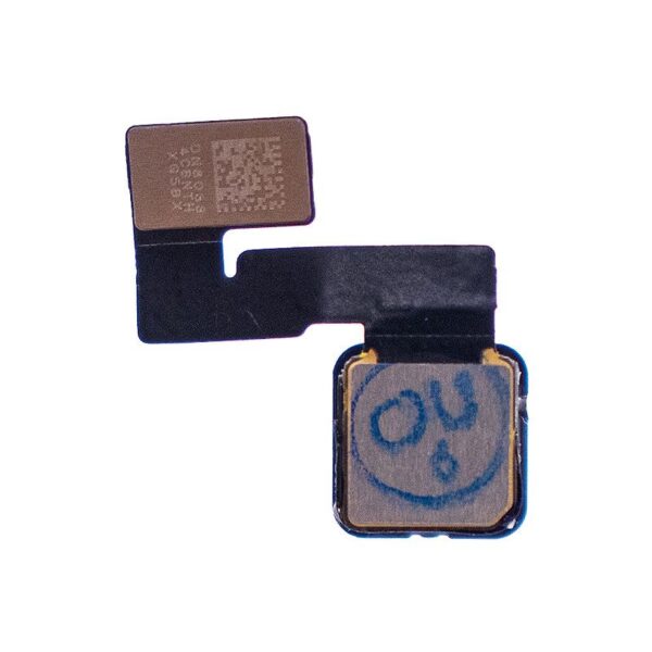 bbc_ipa_9_02.jpg