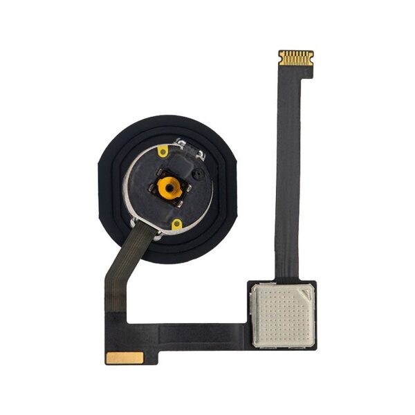 hbf_ipa_12.9-1ba2_go_02.jpg