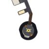 hbf_ipa_7b8b9_gold_01.jpg