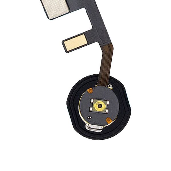 hbf_ipa_7b8b9_gold_01.jpg