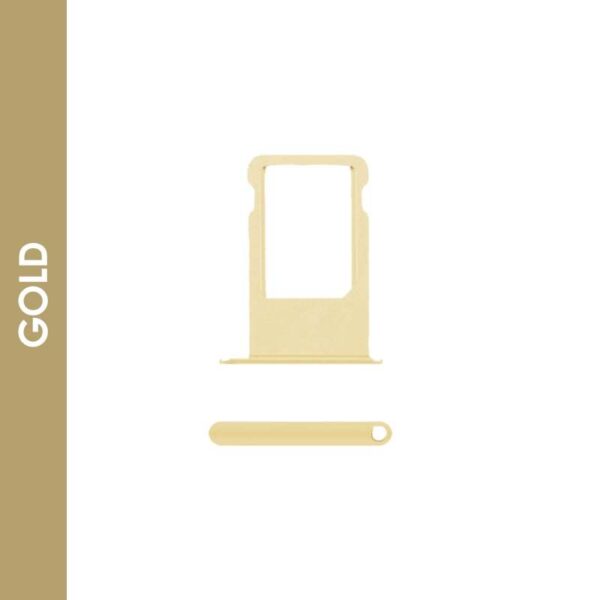 sbt_ip_6m_gold.jpg