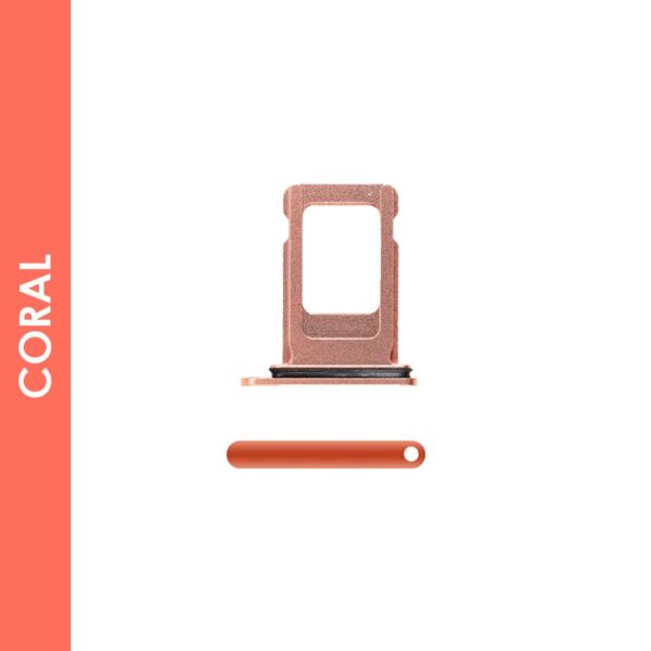 sbt_ip_xr_coral.jpg