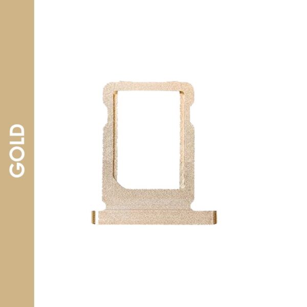 sbt_ipa_12.9-2_gold.jpg