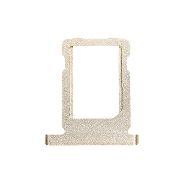 sbt_ipa_12.9-2_gold_02.jpg