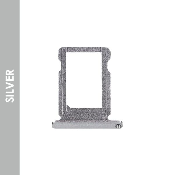 sbt_ipa_12.9-2_silve.jpg