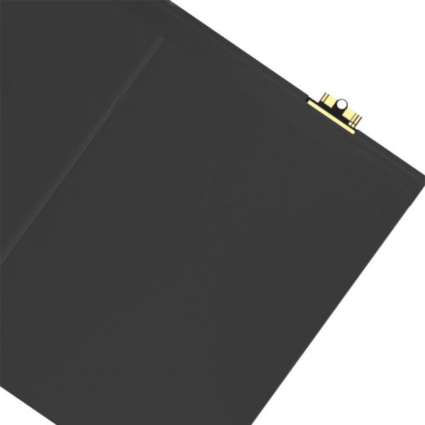 bat_ipa_air_2_02.jpg