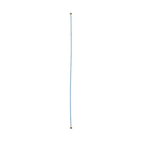 ant_sam_a12ba02.jpg